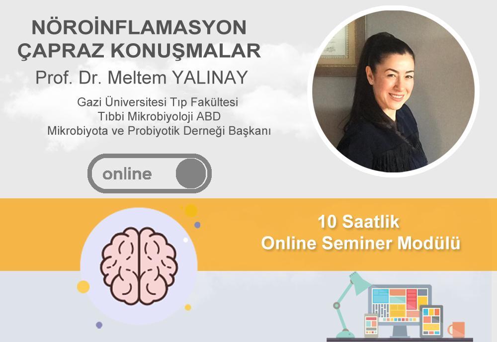 NÖROİNFLAMASYON : ÇAPRAZ KONUŞMALAR