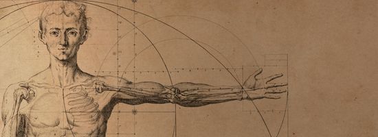Kadavra Diseksiyonlarıyla Yüzdeki Önemli Anatomik Noktalar