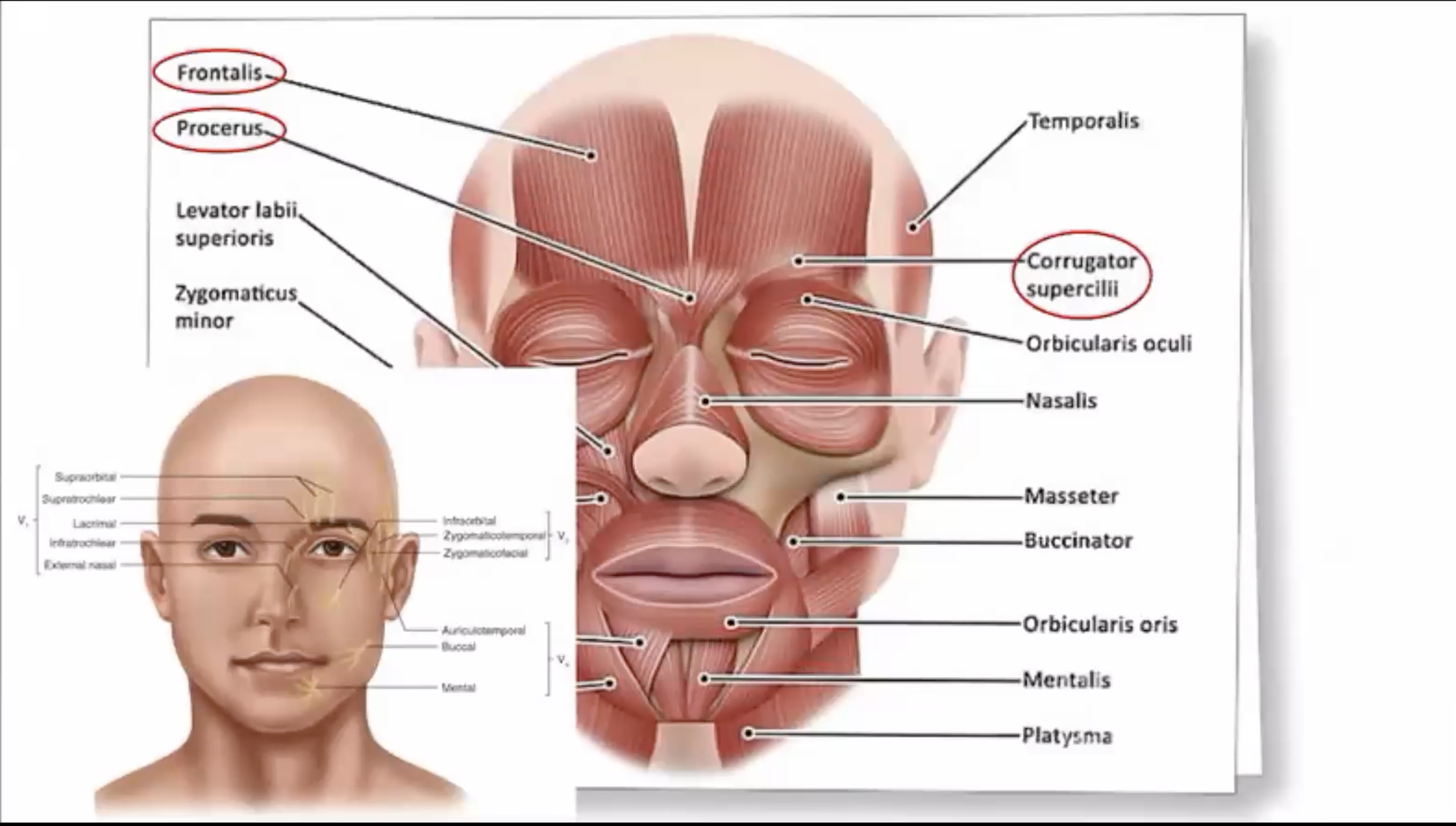 ME*** AC*** LT*** paylaşımı